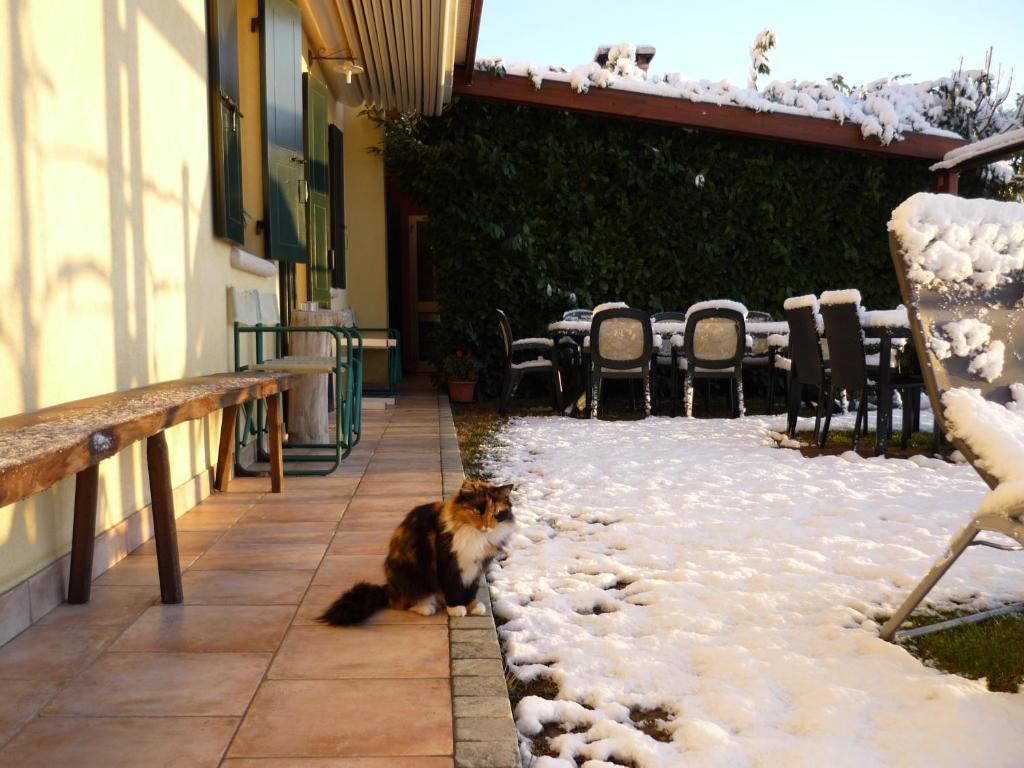 Sant'Andrea Agriturismo Con Cantina Martignago Vignaioli Asolo Prosecco Docg Wines Maser Bagian luar foto