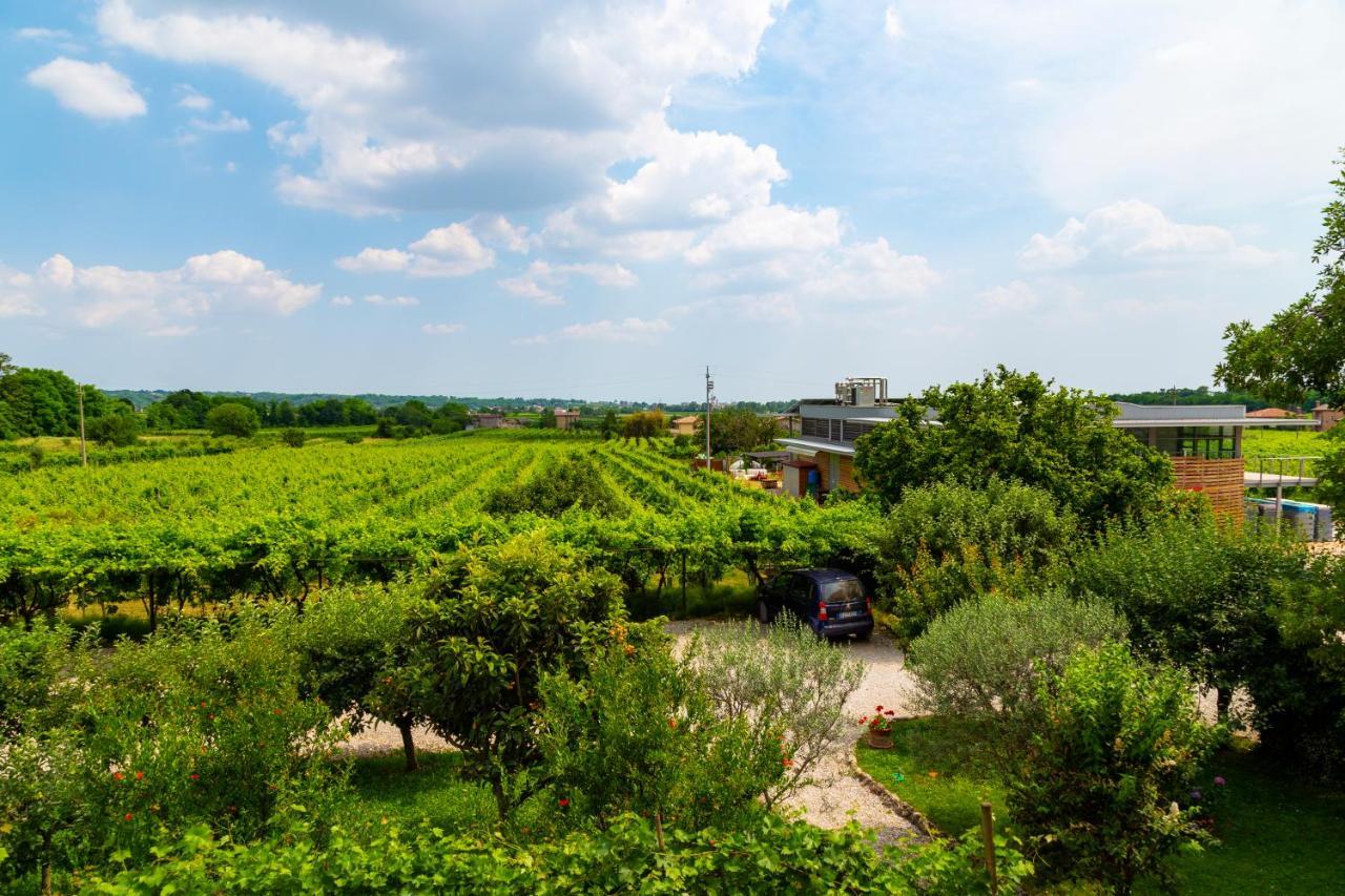 Sant'Andrea Agriturismo Con Cantina Martignago Vignaioli Asolo Prosecco Docg Wines Maser Bagian luar foto
